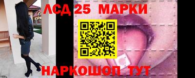 крисы Коммунар