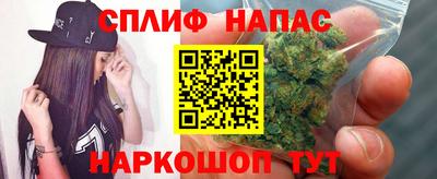 крисы Коммунар