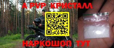 крисы Коммунар