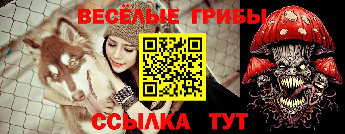 Псилоцибиновые грибы ЛСД  Галлюциногенные грибы мицелий  Краснознаменск  Вход с VPN 
